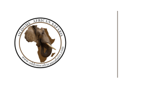 oldome african safari