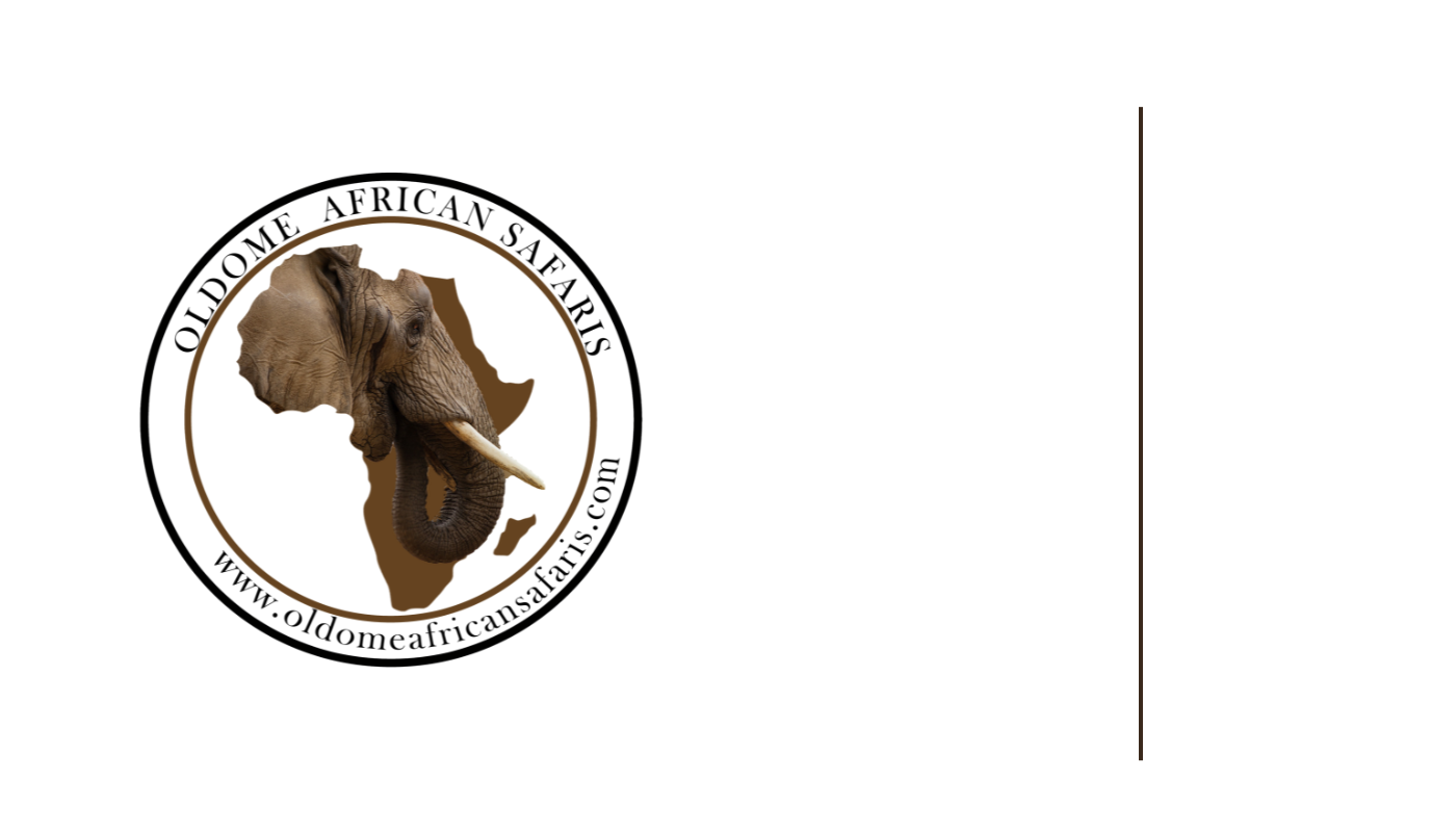 Oldome African Safaris