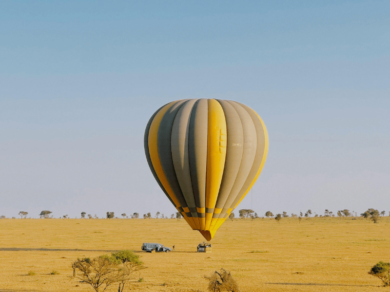 OLDOME AFRICAN SAFARIS OLDOME AFRICAN SAFARIS